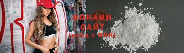 гашик Новокубанск