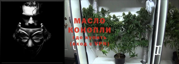 меф Новодвинск