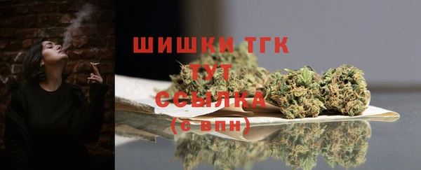 a pvp Новозыбков