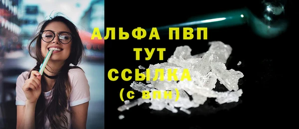 гашик Новокубанск