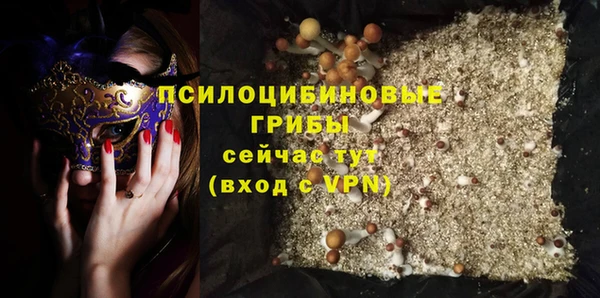 гашик Новокубанск