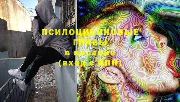a pvp Новозыбков