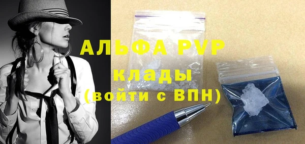 гашик Новокубанск