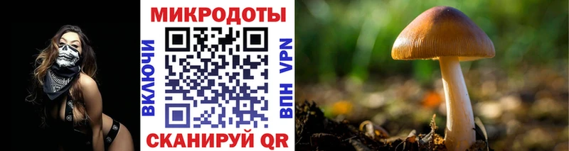 Псилоцибиновые грибы Psilocybe  продажа наркотиков  Усмань 